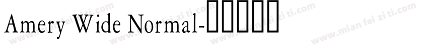 Amery Wide Normal字体转换